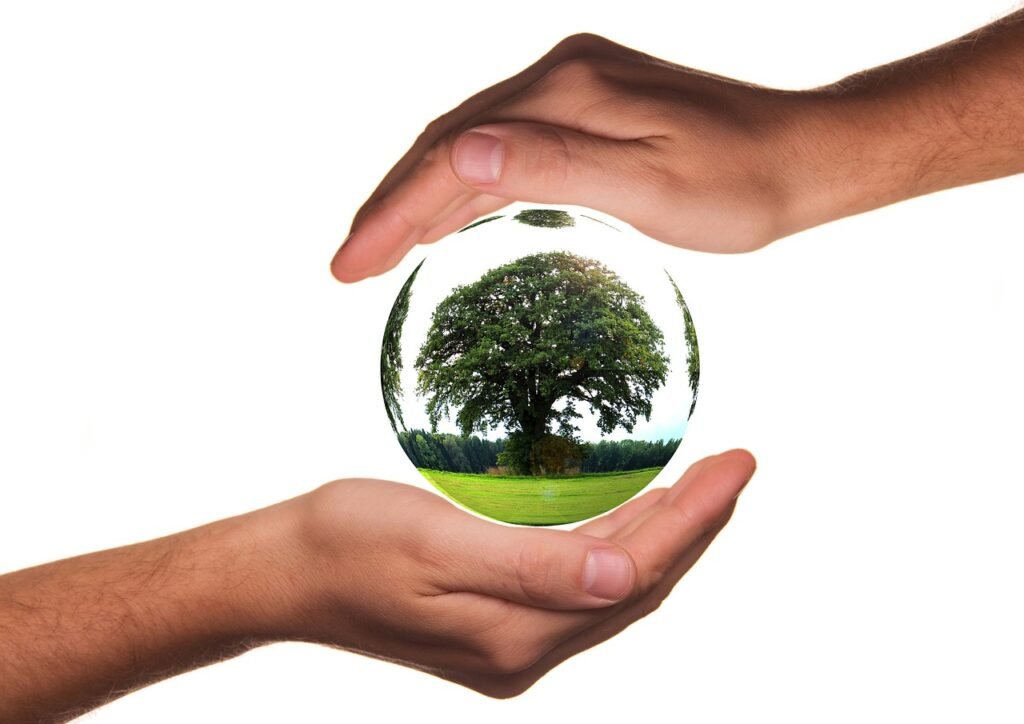 to protect, hands, ecology, protection, tree, life, responsibility, globe, earth, world, globalization, planet, global, environment, conservation, eco, fragile, sensitive, ecology, ecology, nature, responsibility, earth, conservation, conservation, conservation, conservation, conservation, eco, eco, eco